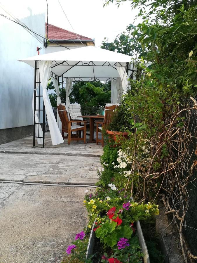Lili Apartment In Zadar Pet Friendly, Free Parking Exteriör bild
