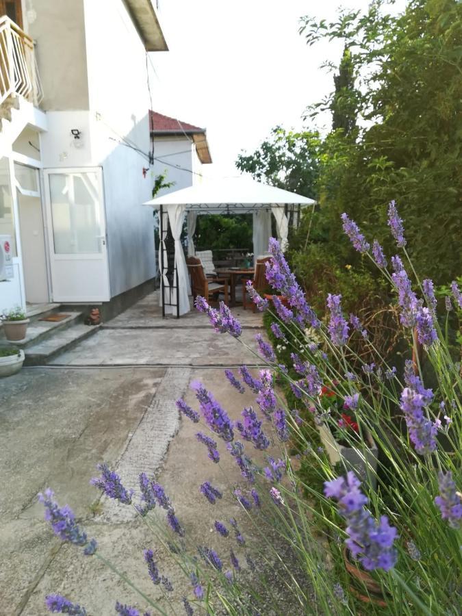 Lili Apartment In Zadar Pet Friendly, Free Parking Exteriör bild