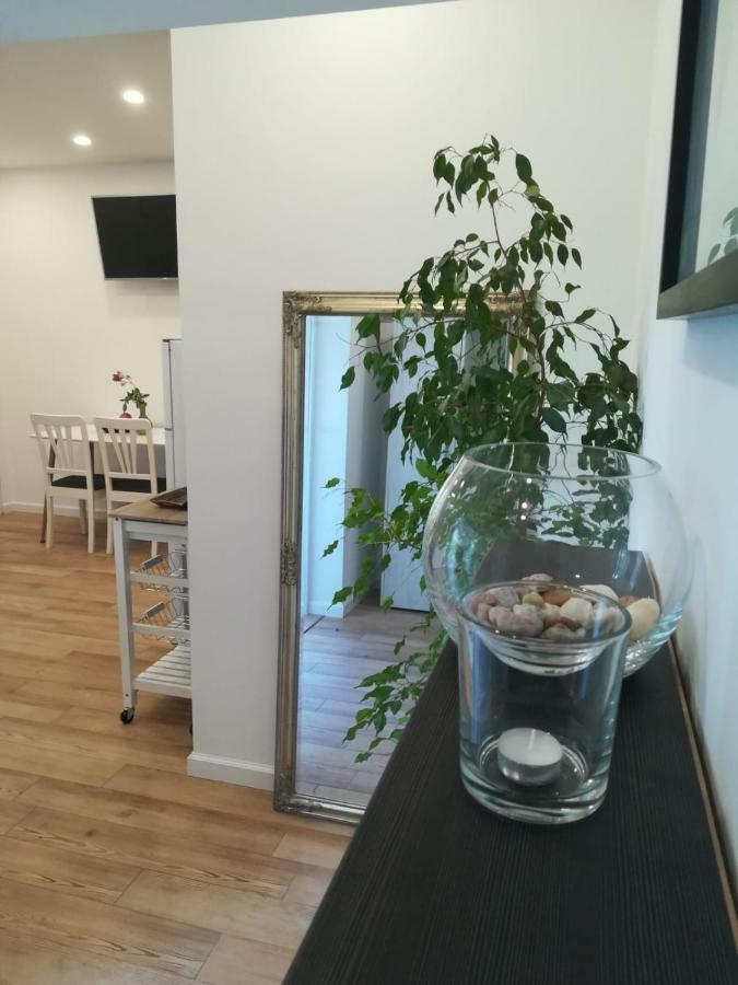 Lili Apartment In Zadar Pet Friendly, Free Parking Exteriör bild